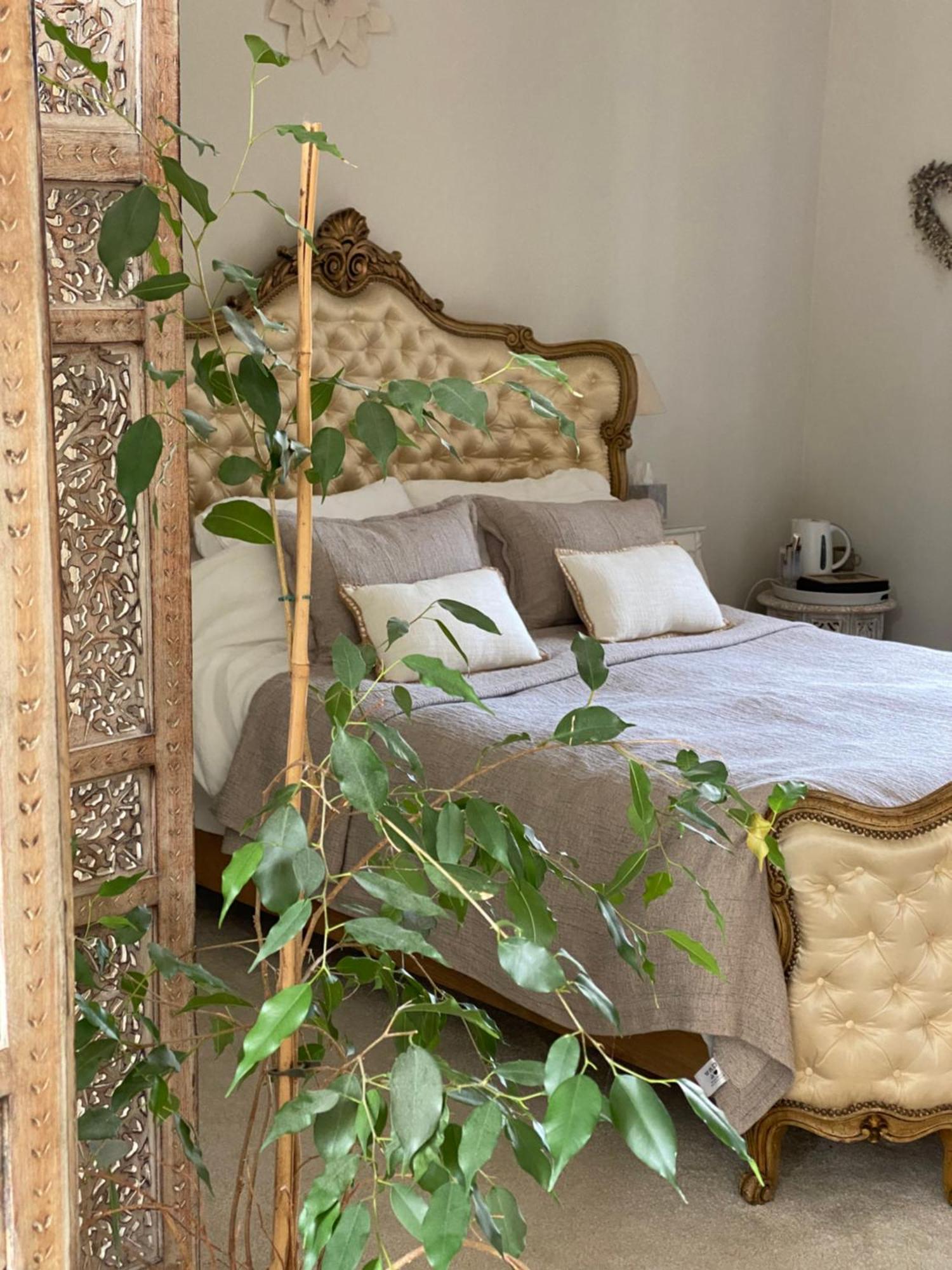 La Maison 64 Chambre D'Hôtes Barbaste Extérieur photo